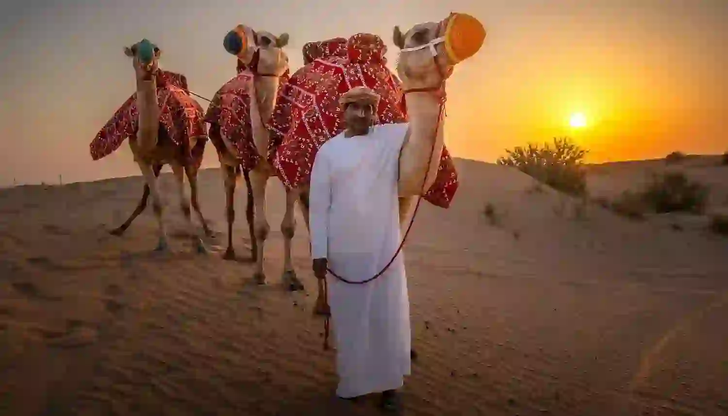 Desert Safari Dubai Highlights
